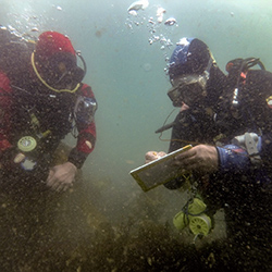 SHIPS Project Training