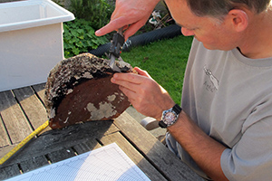 SHIPS Training Resources