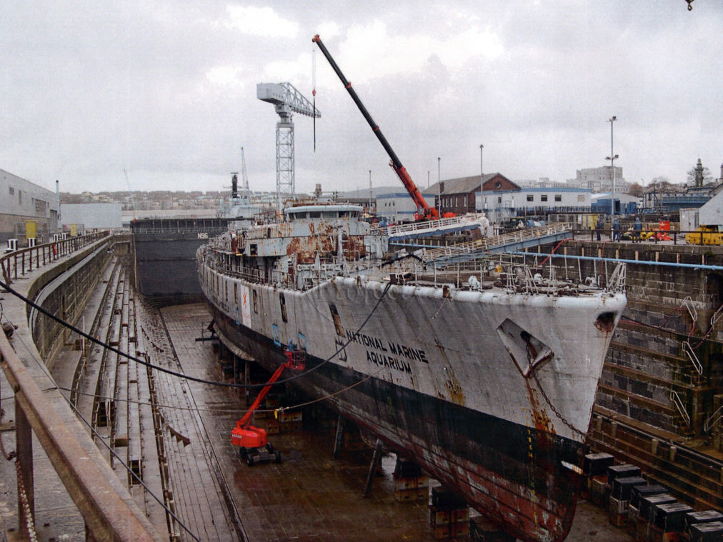 2004 - HMS Scylla scuttled in Whitsand Bay as an artificial reef