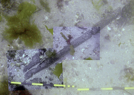 Photomosaic