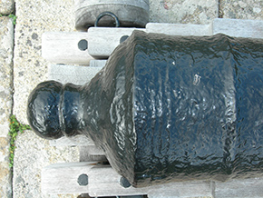 Cannon