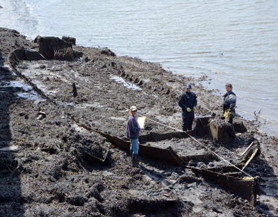 Laira Wreck