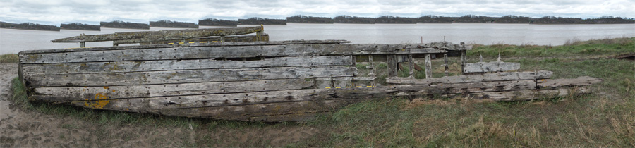 Severn Collier