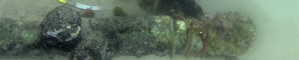 Cannon Recording